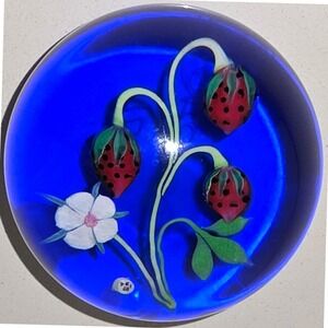 Vtg Baccarat Paperweight B1974 Cane Strawberry Flower Blossom Lampwork LE 85/240